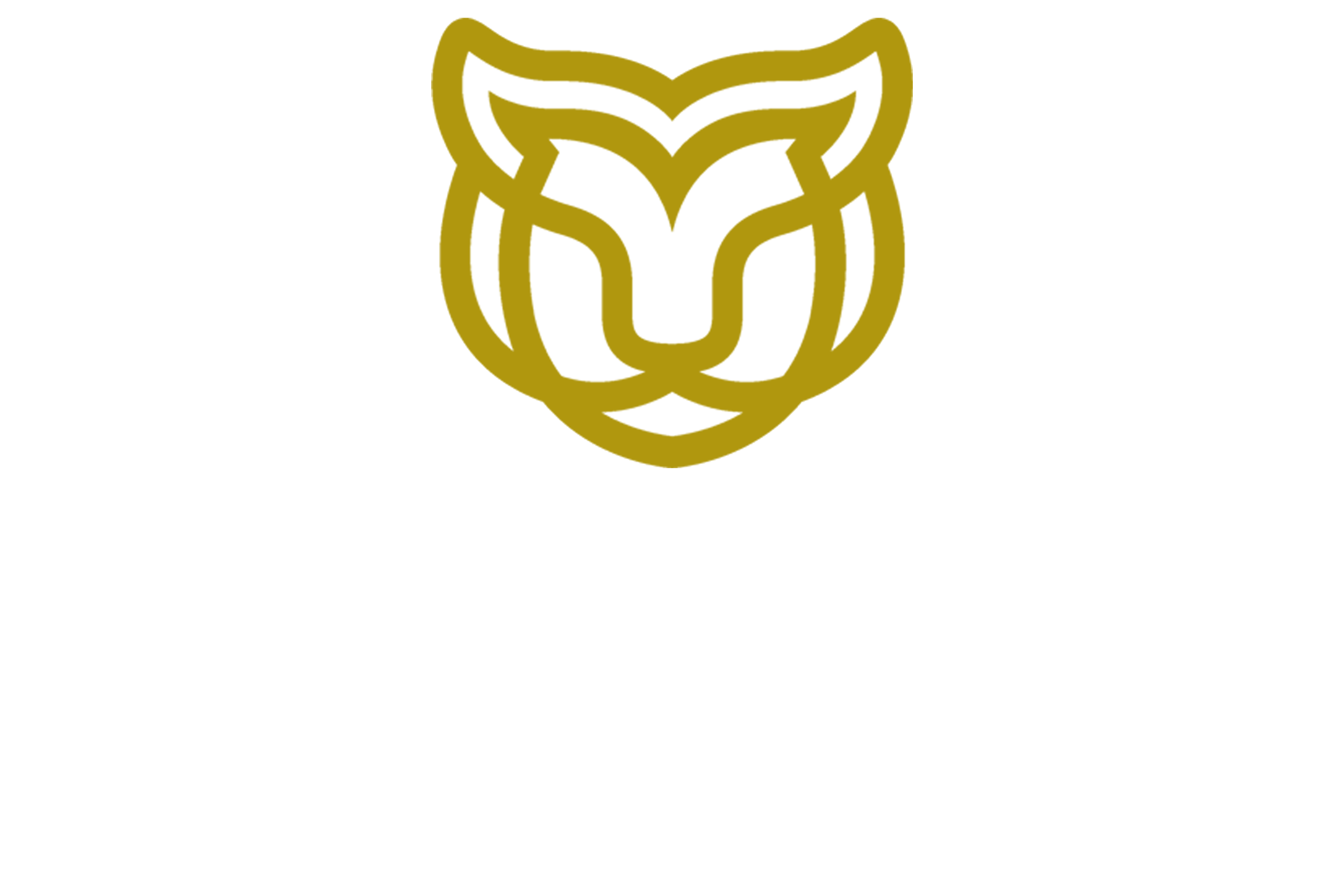 Catwalk Marketing
